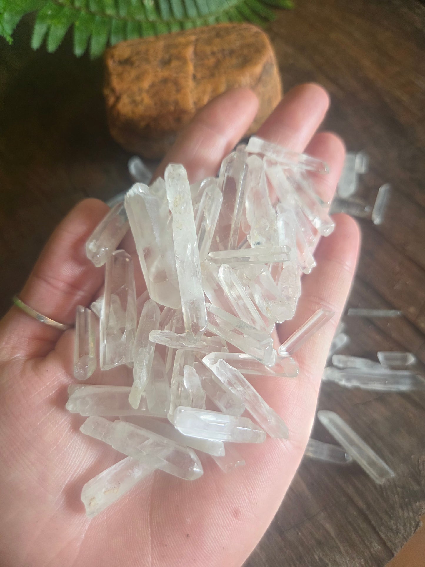 Small Clear Quartz Points Raw
