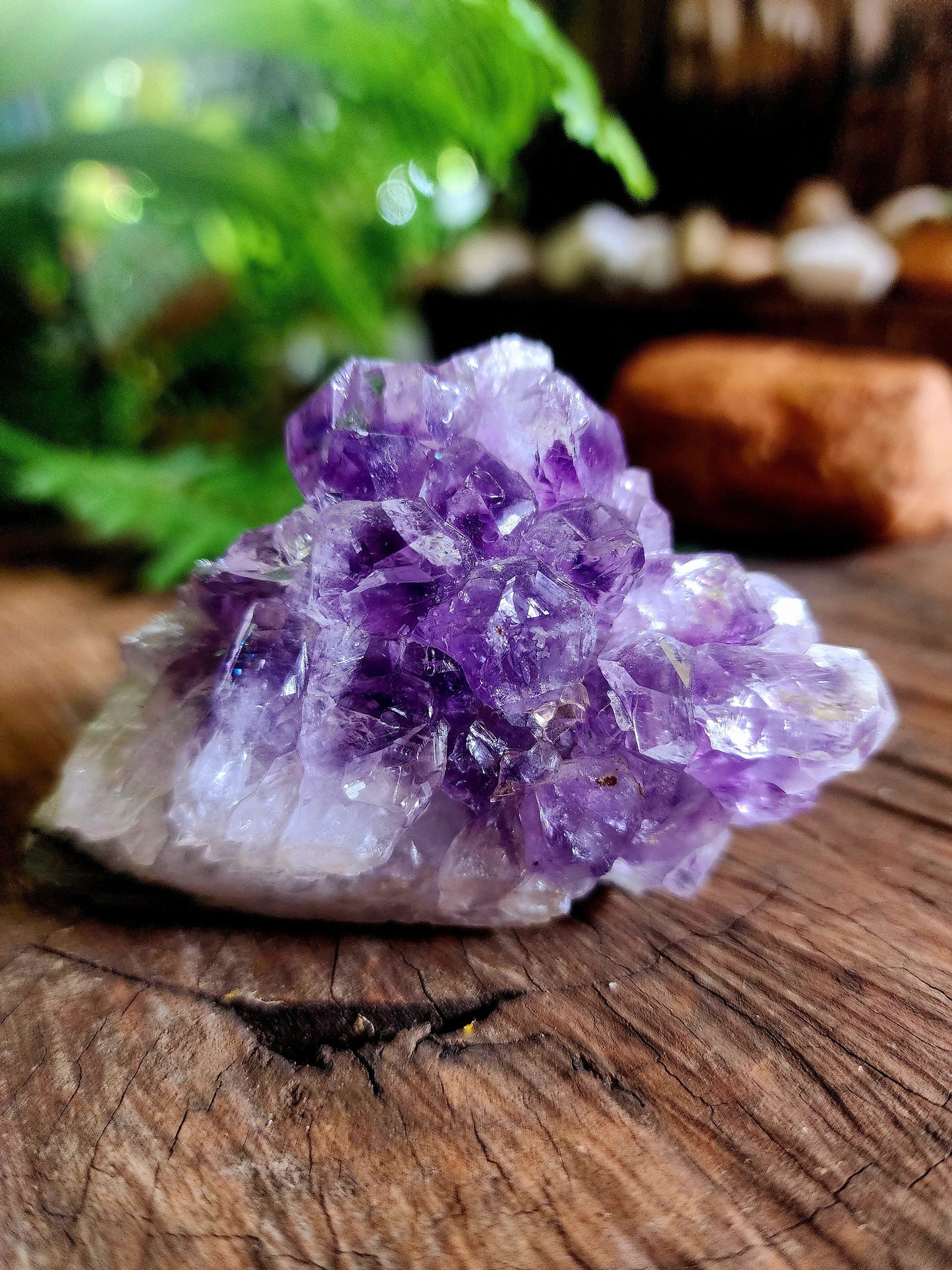 Crystals Amethyst Cluster Australia