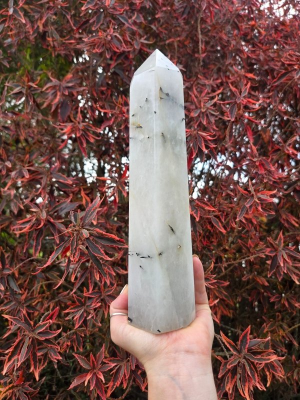 Large Black Tourmaline in Quartz Crystal Tower Point 28cm - Crystals Australia