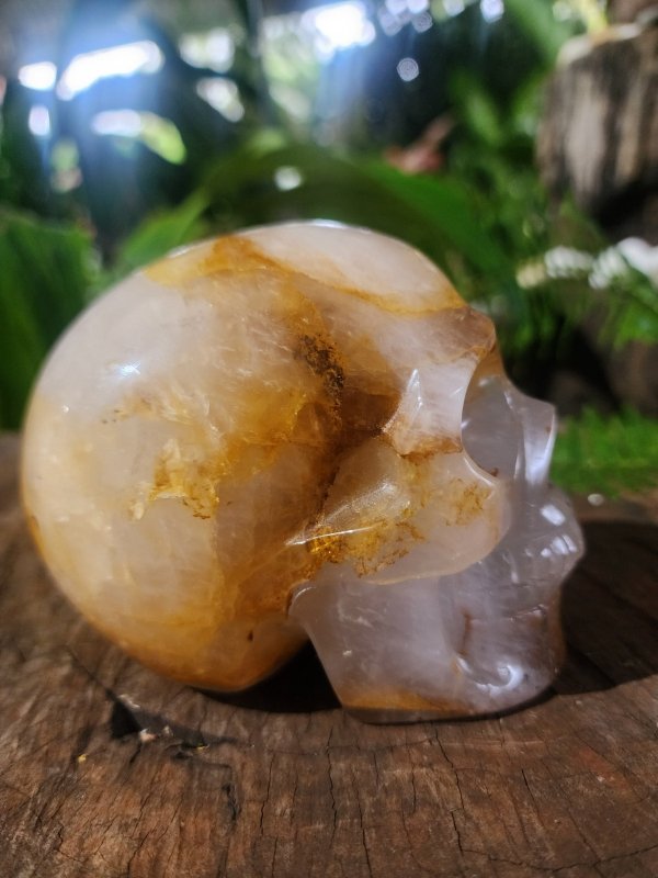 Large Golden Healer Quartz Crystal Carved Skull - Crystals Australia