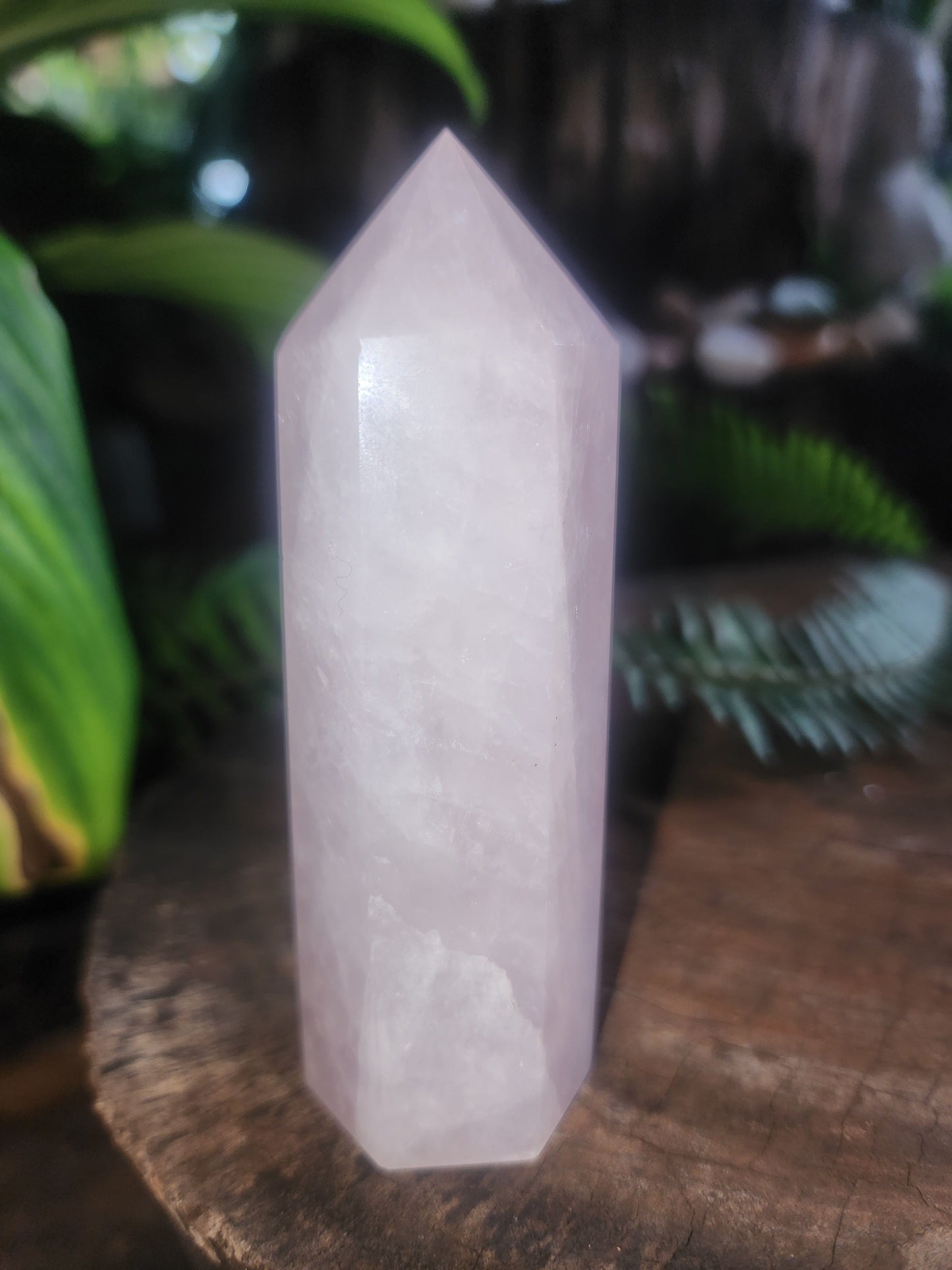 Rose Quartz Crystal Point 173g Australia