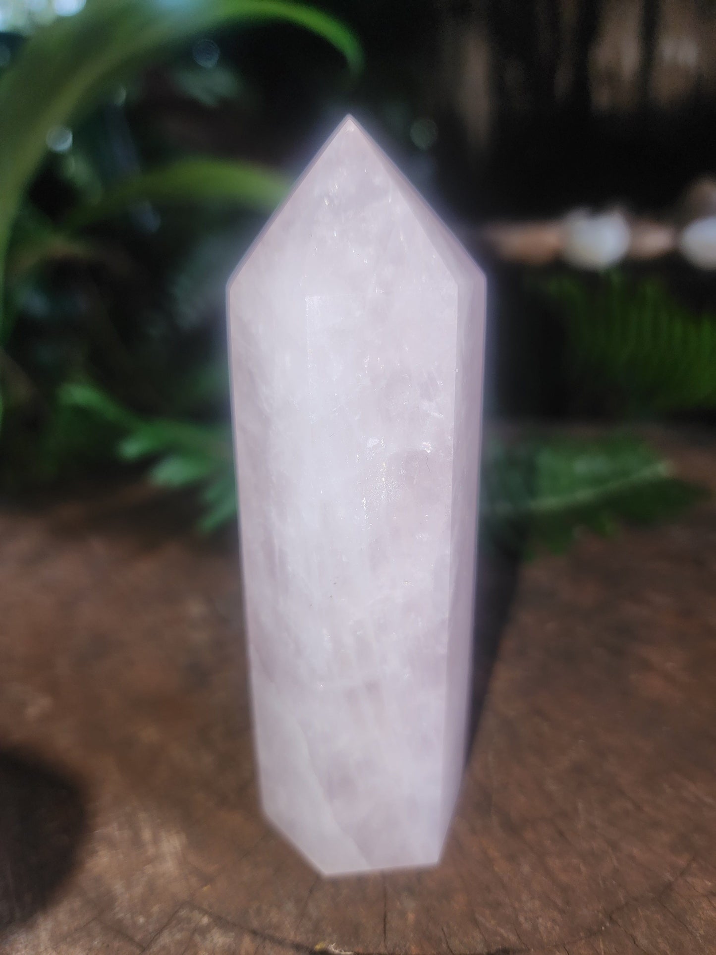 Rose Quartz Crystal Point 173g Australia