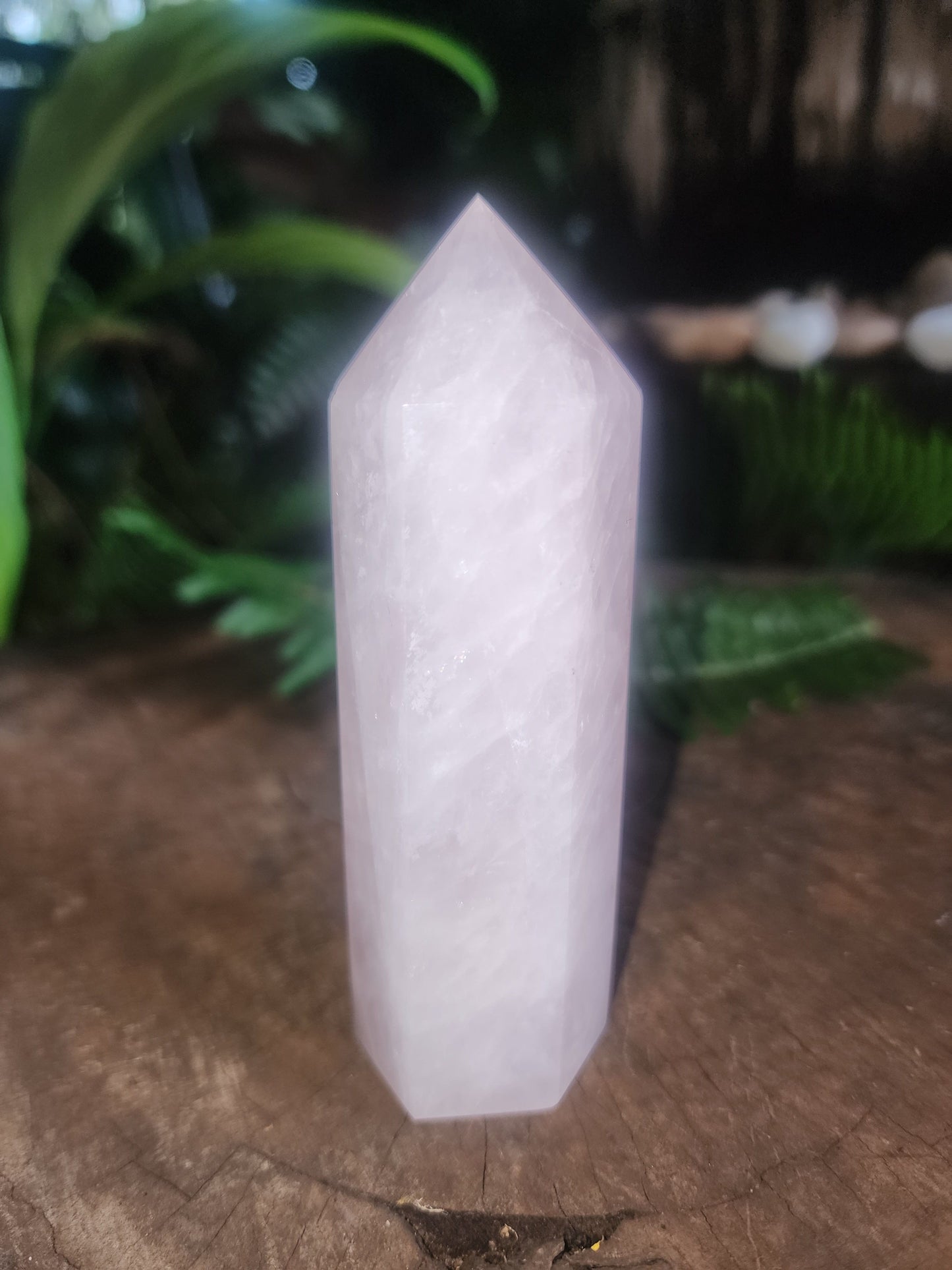 Rose Quartz Crystal Point 173g Australia