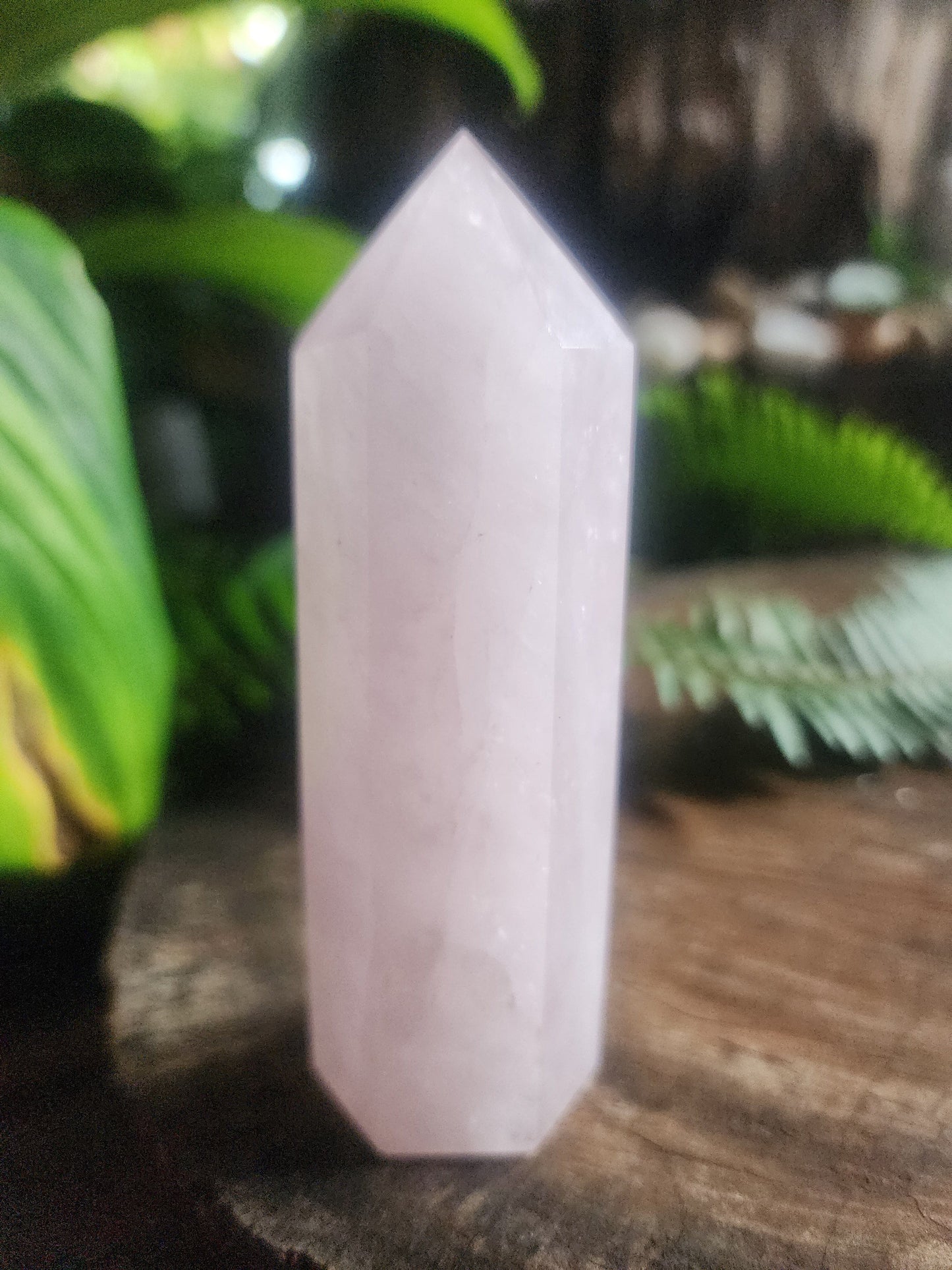 Rose Quartz Crystal Point 173g Australia