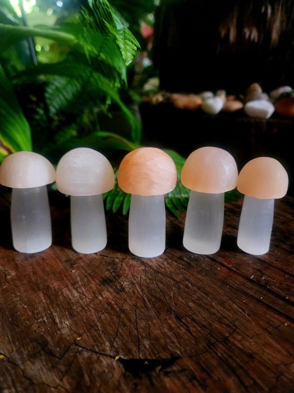Selenite Mushroom Carving - Cleanse & Recharge - Crystals Australia