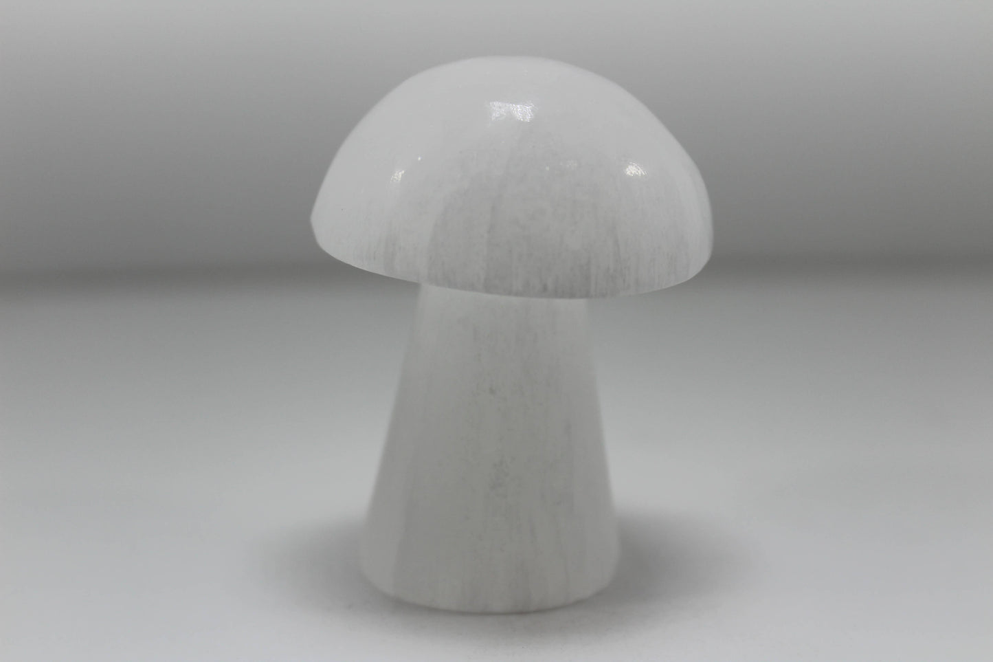 Crystals Selenite Mushrooms White