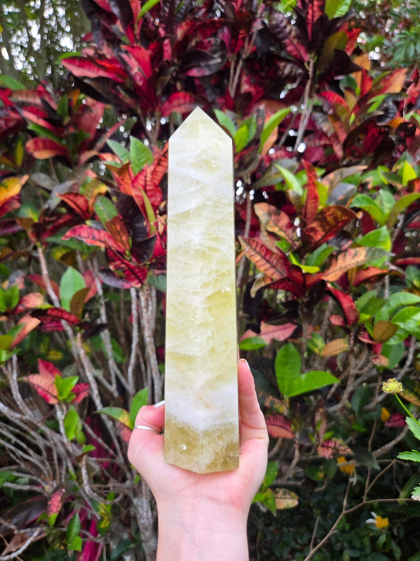 Large Smoky Citrine Quartz Crystal Tower Point 24cm