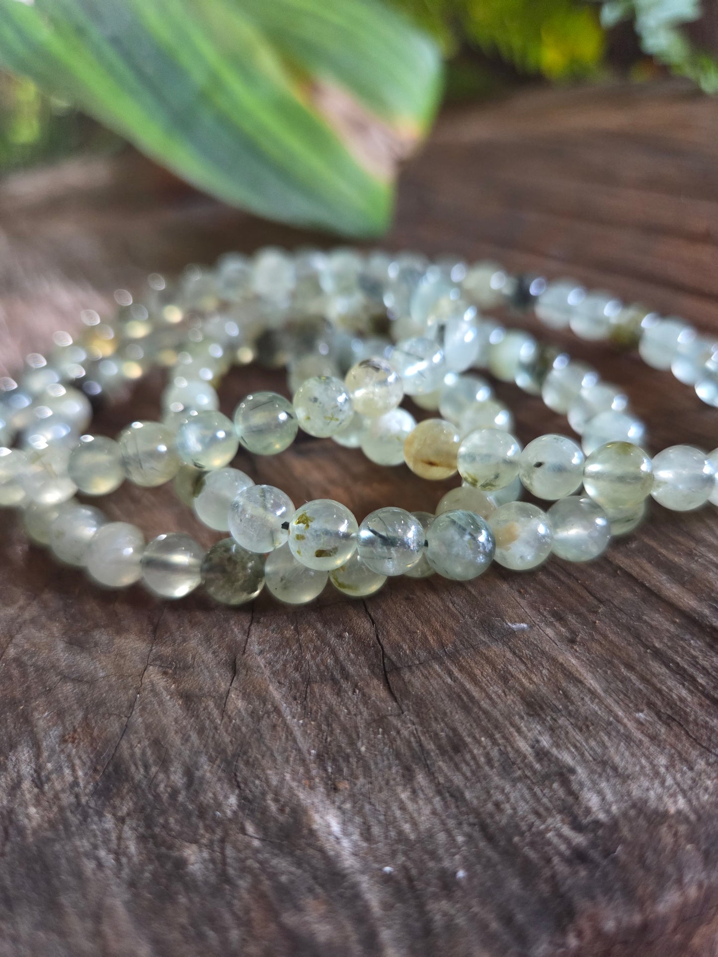 Prehnite Beaded Bracelets 6mm