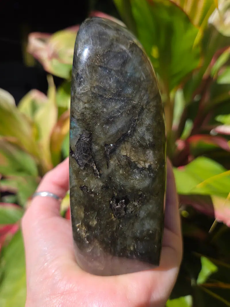 Large Labradorite Freeform Polished Slab High Quality Flash