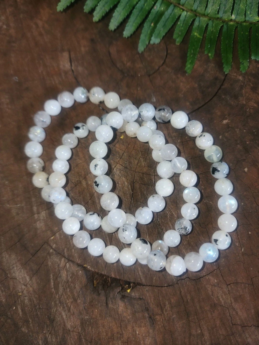 Rainbow Moonstone Bracelet 8mm