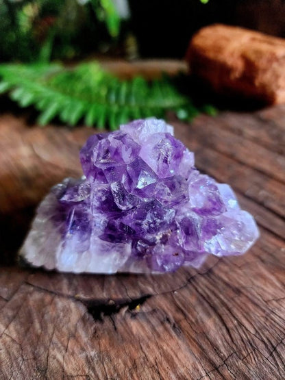 Amethyst Cluster - Crystals Australia