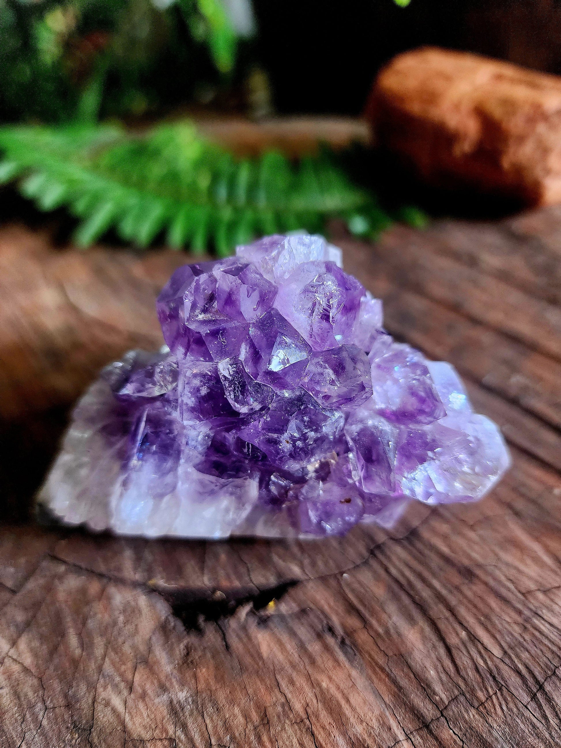 Crystals Amethyst Cluster