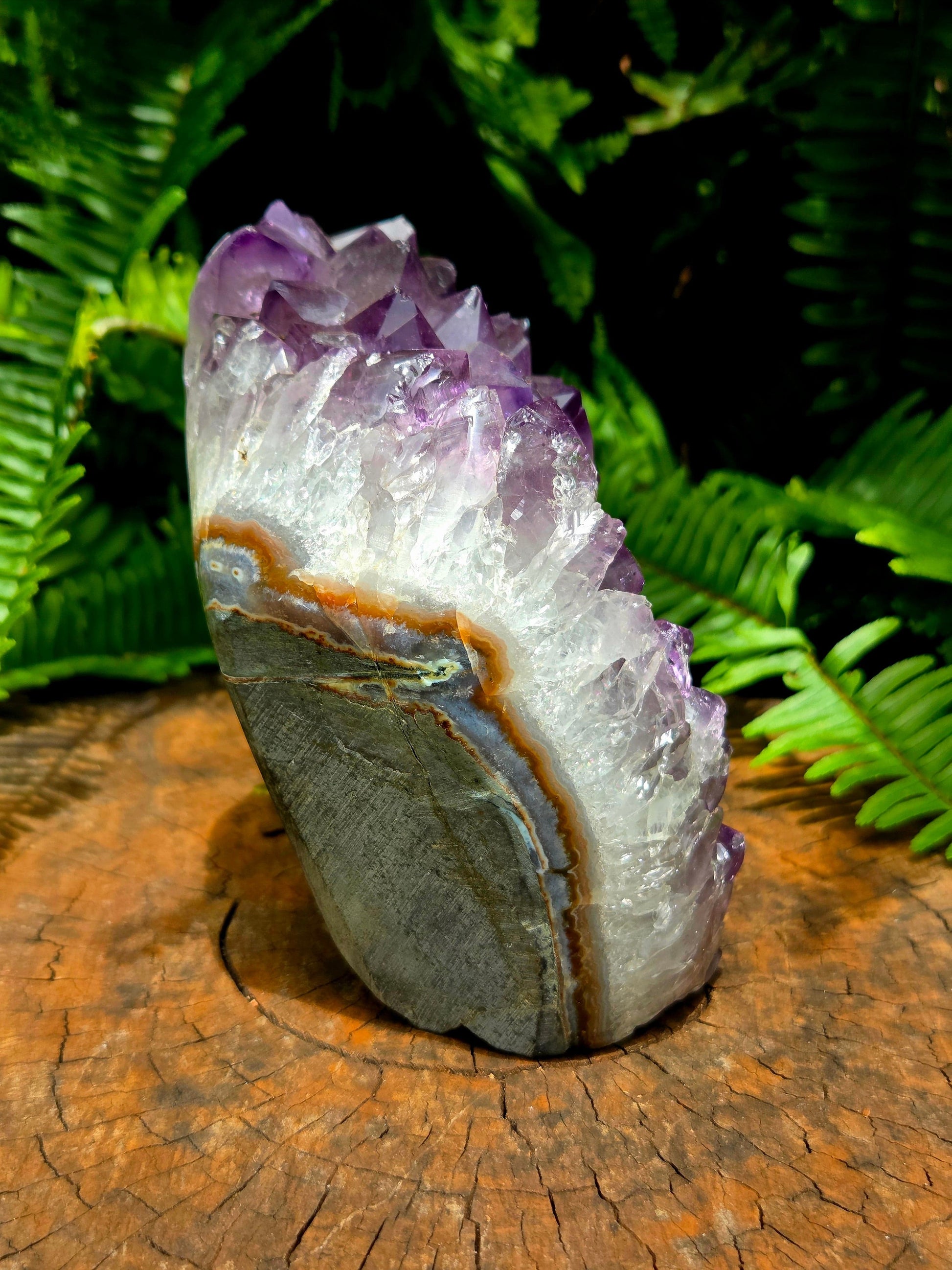 Crystals Amethyst Geode Cluster 1270g