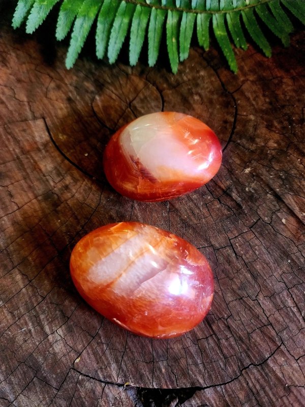 Carnelian Crystal Palm Stone - Crystals Australia
