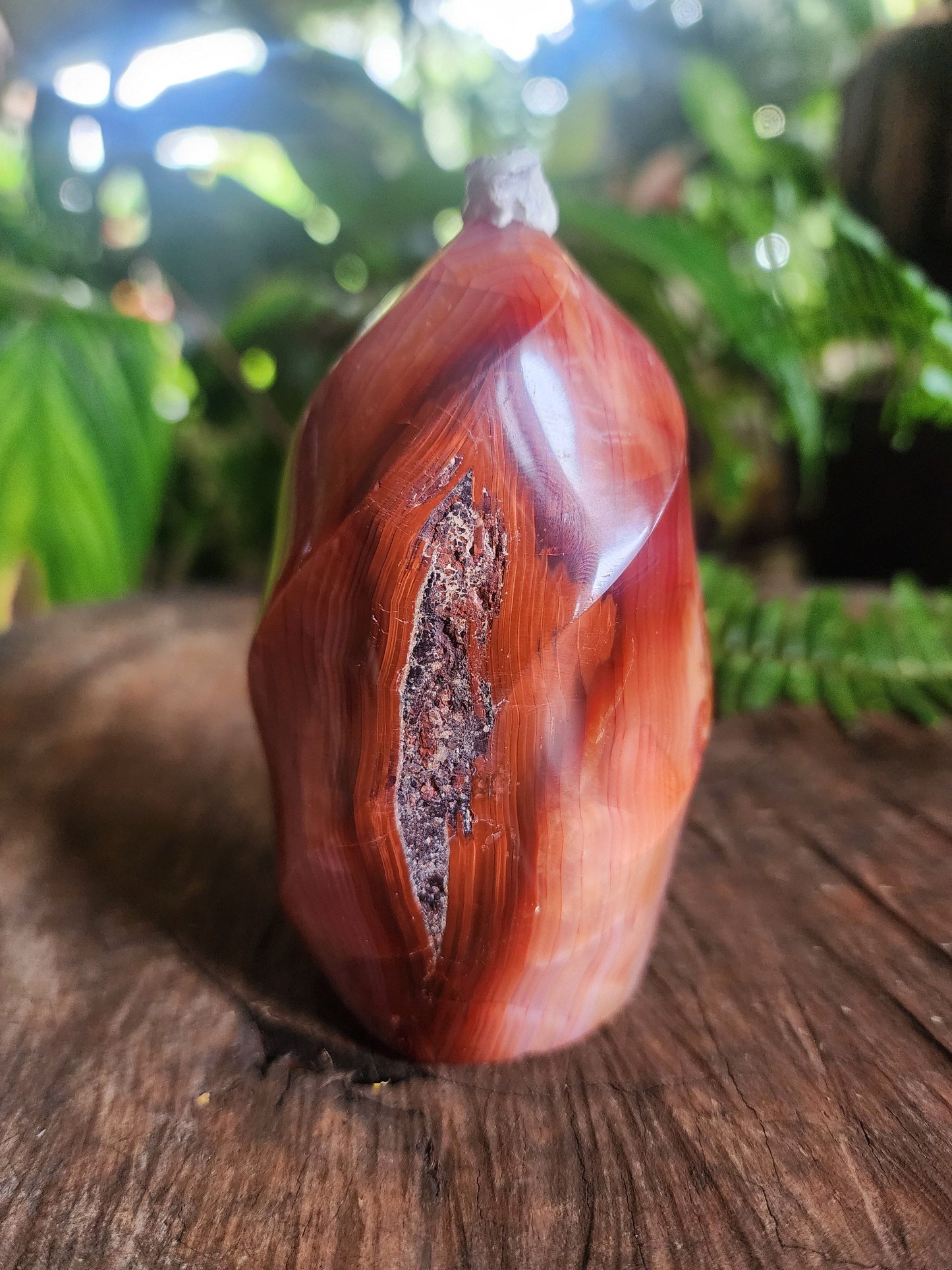 Crystals Carnelian Flame Quartz Point 358g