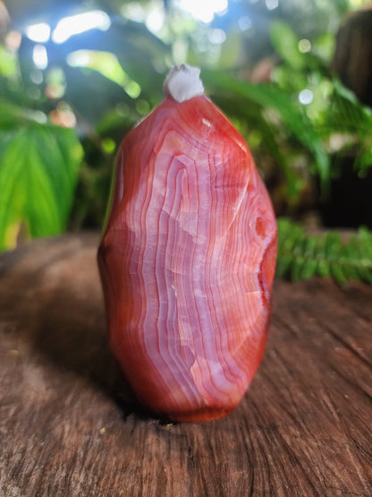 Crystals Carnelian Flame Quartz Point 358g