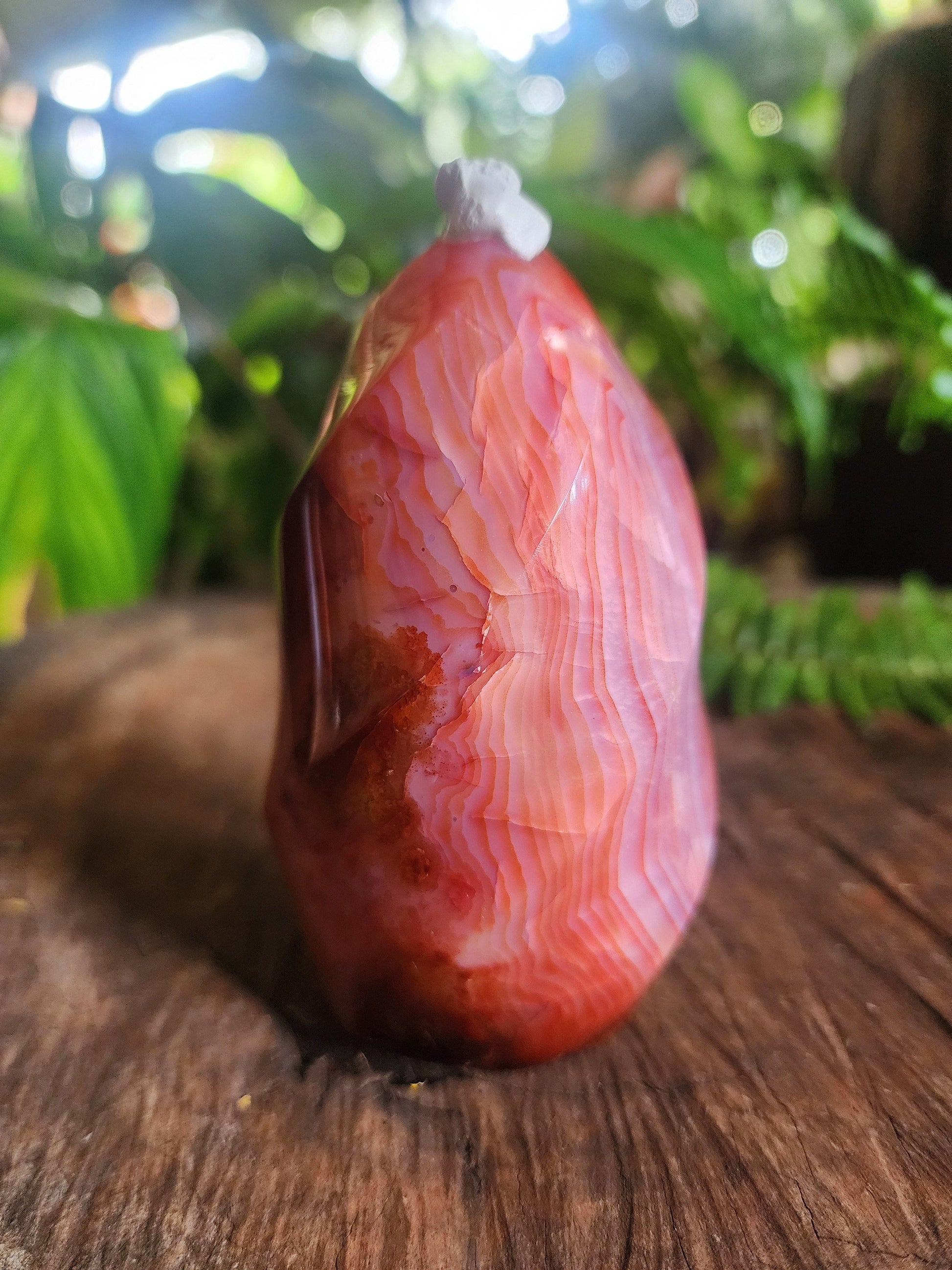 Crystals Carnelian Flame Quartz Point 358g