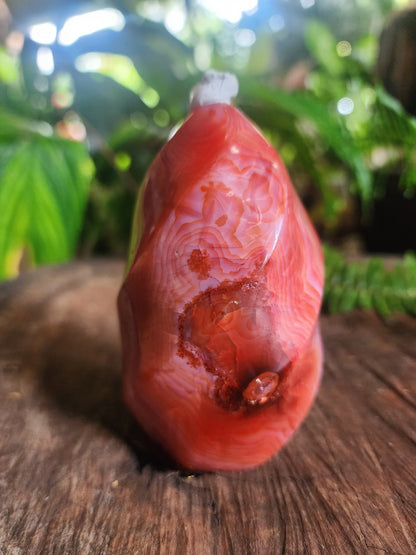 Crystals Carnelian Flame Quartz Point 358g