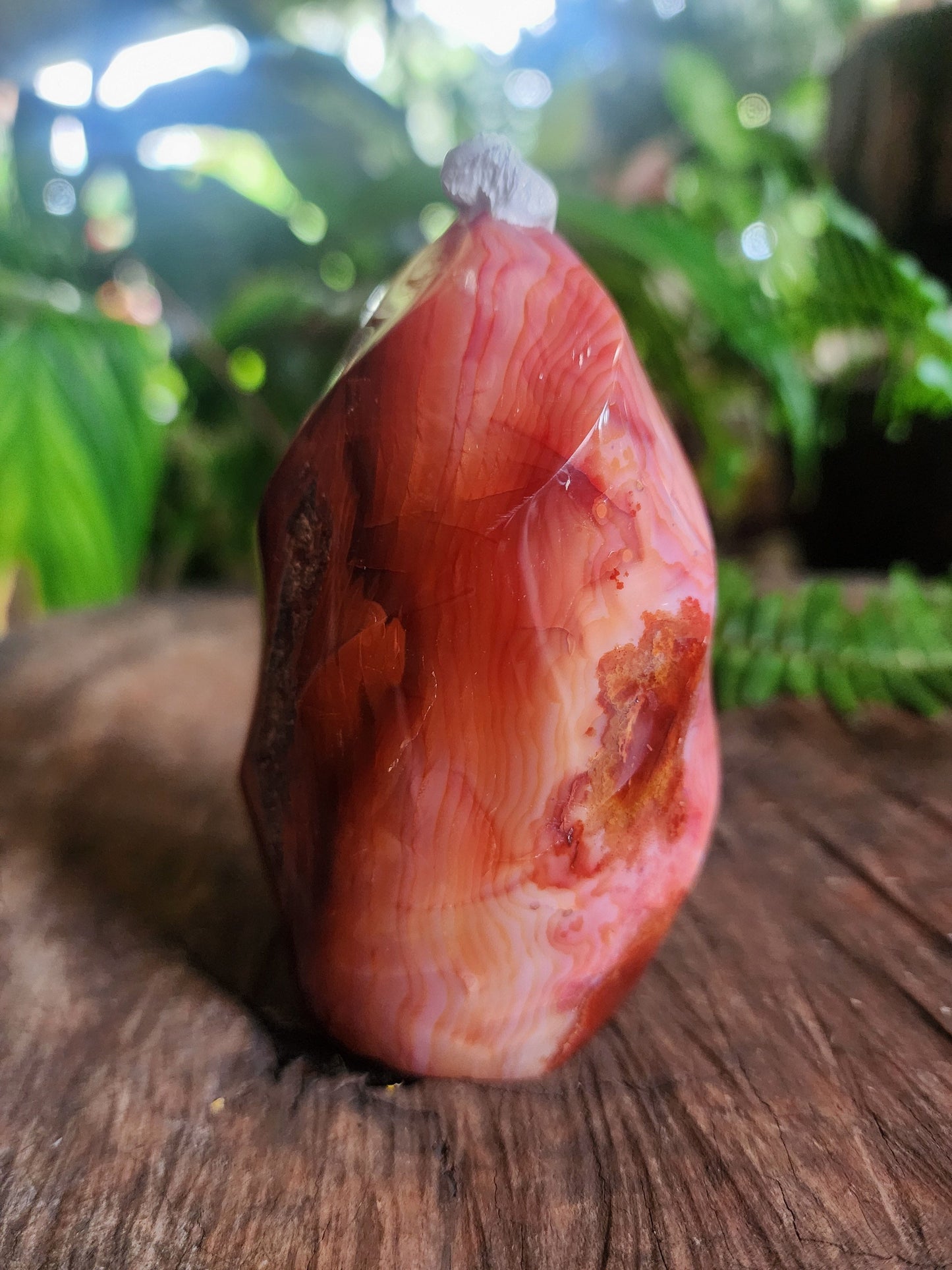 Crystals Carnelian Flame Quartz Point 358g