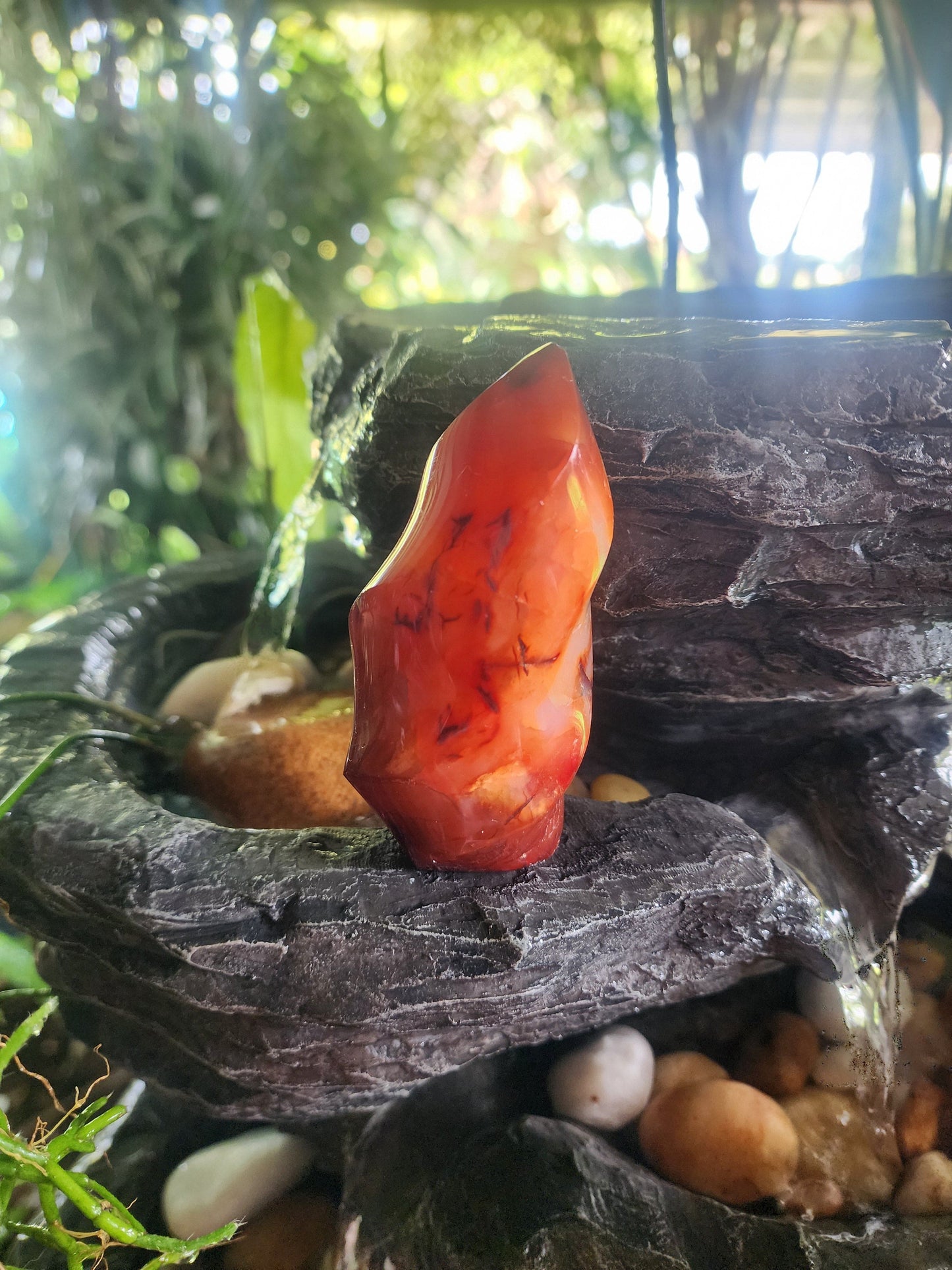Crystals Carnelian Flame Quartz Point