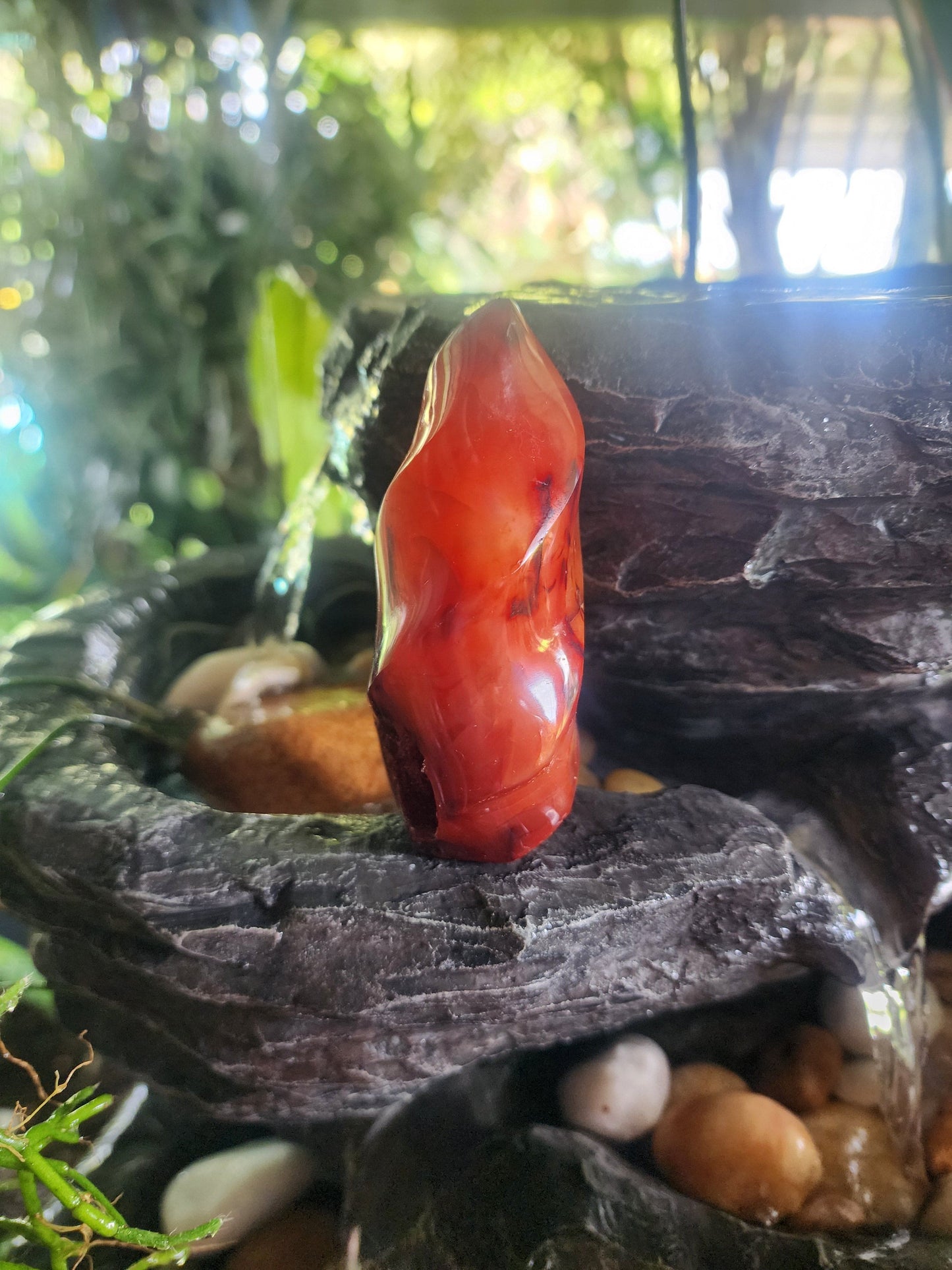 Crystals Carnelian Flame Quartz Point