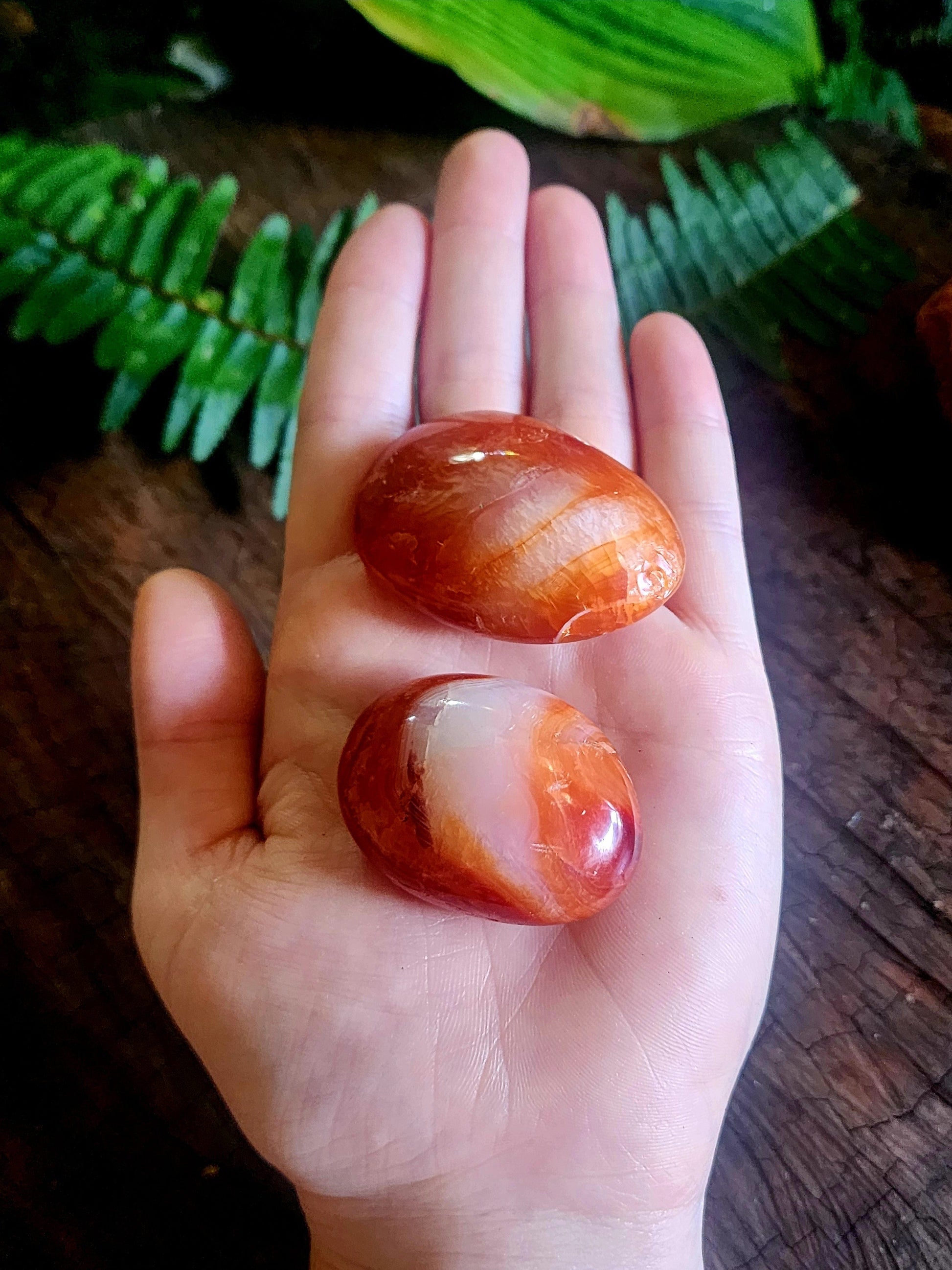 Carnelian Palm Stone Australia