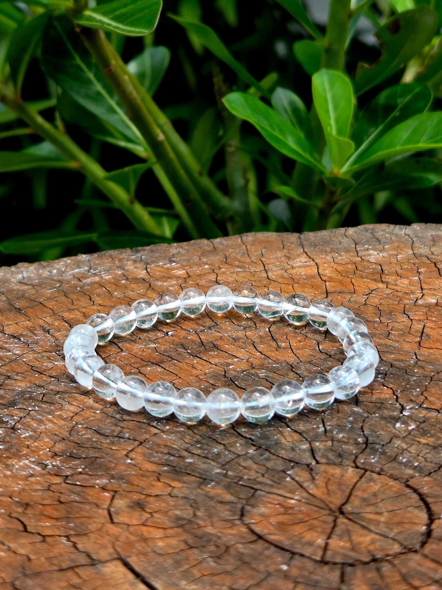 Crystals Clear Quartz Bracelet 6mm