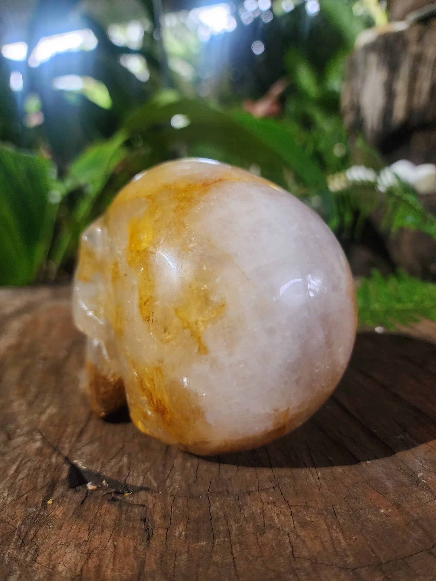 Crystals Golden Healer Skull Carving