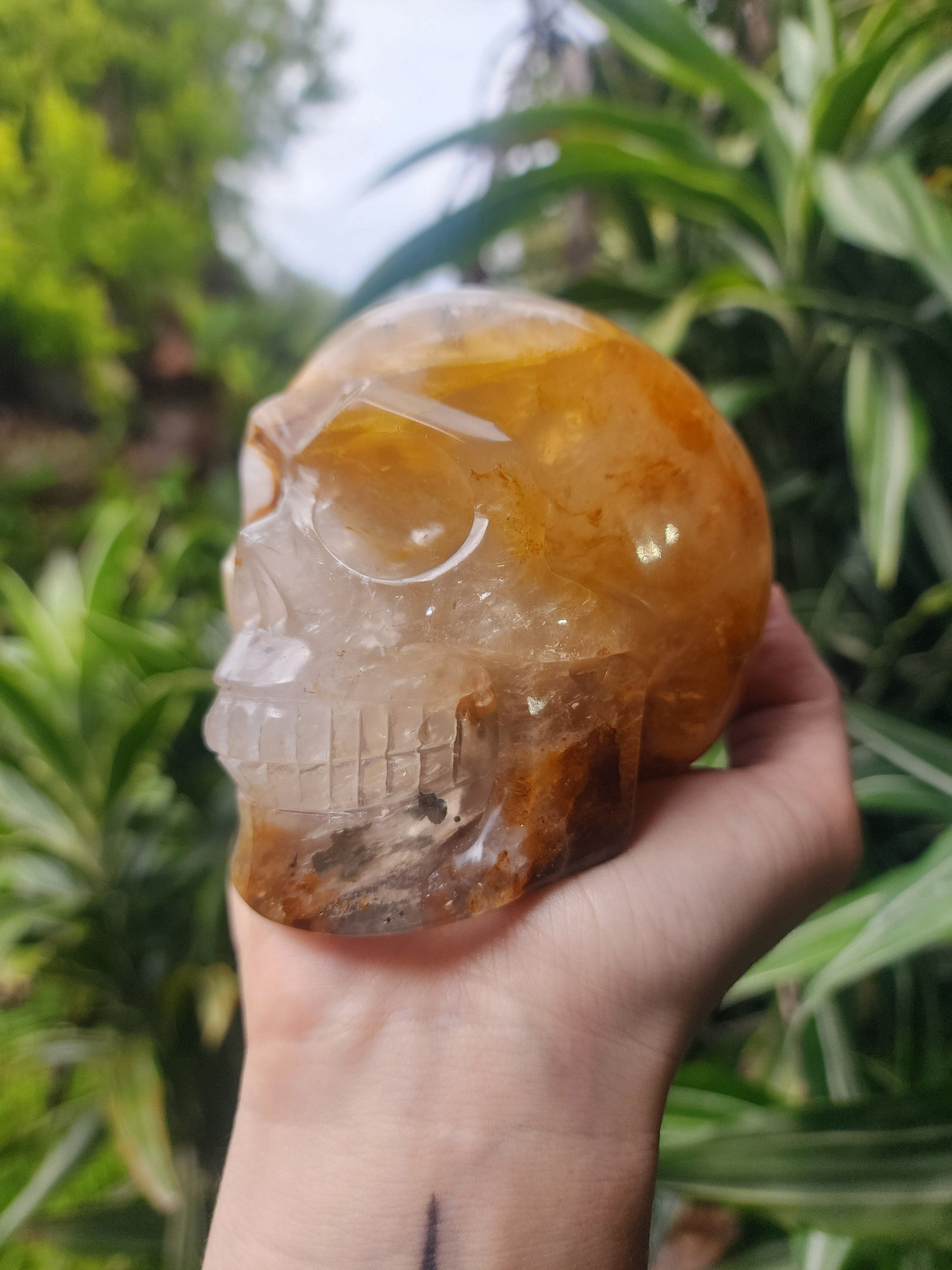 Crystals Golden Healer Skull Carving Australia