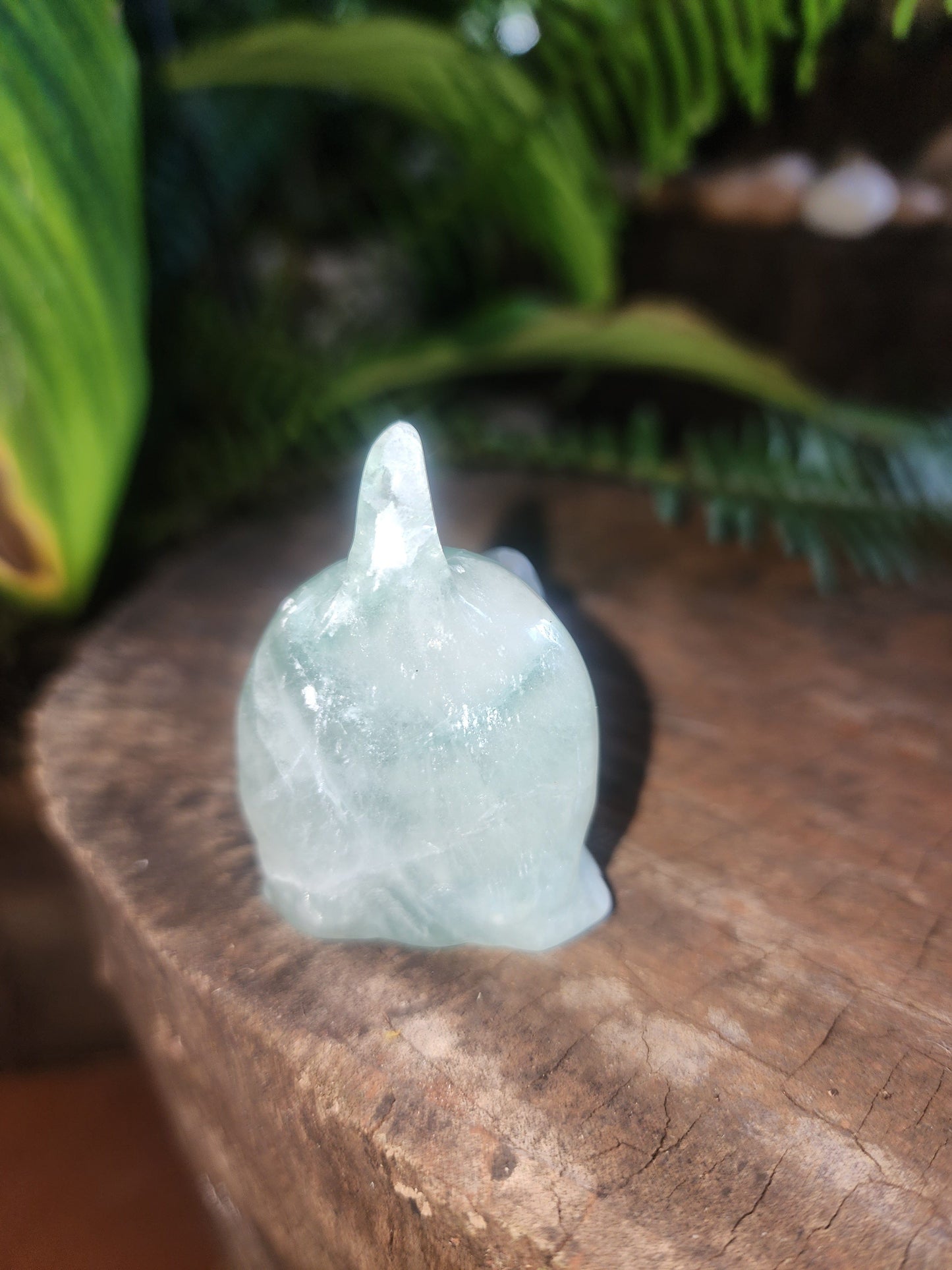 Green Fluorite Carved Cat Australia