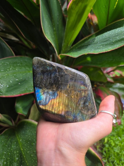 Labradorite Crystal Freeform Polished Slab - Crystals Australia