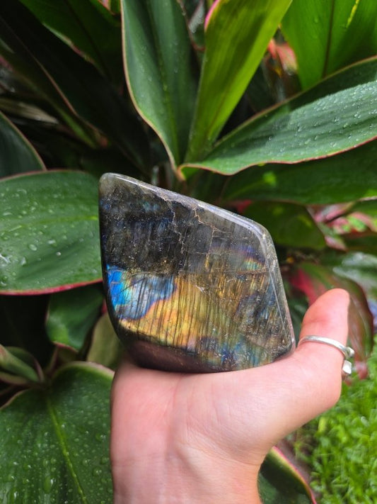 Labradorite Crystal Freeform Polished Slab - Crystals Australia