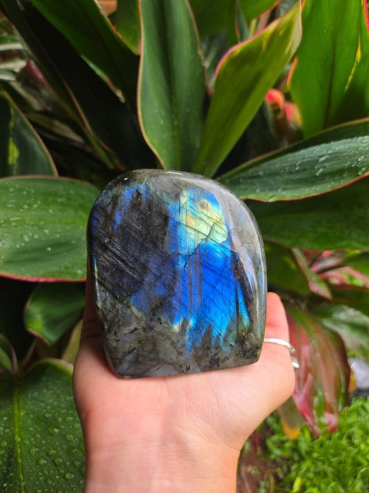 Labradorite Crystal Freeform Polished Slab - Crystals Australia
