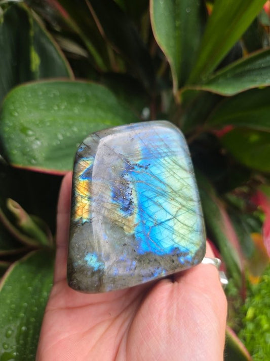 Labradorite Crystal Freeform Polished Slab - Crystals Australia