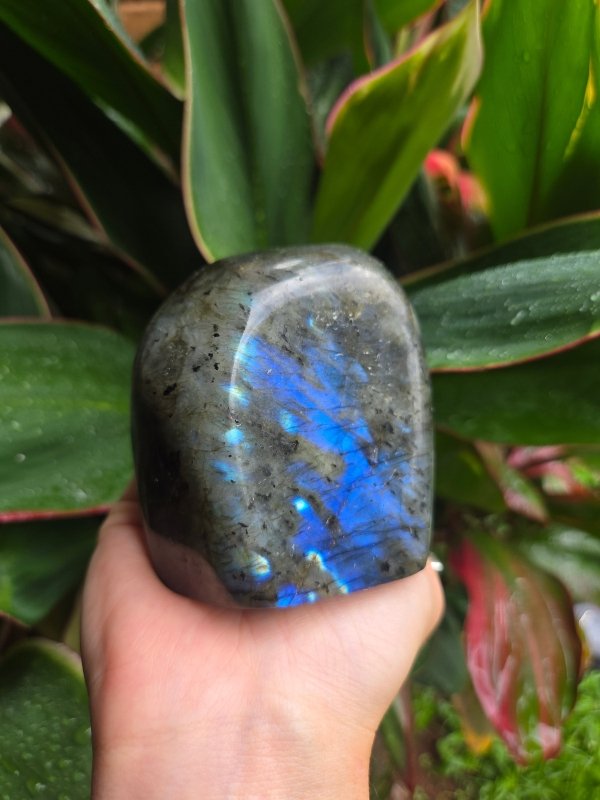Labradorite Crystal Freeform Polished Slab - Crystals Australia