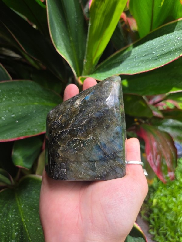 Labradorite Crystal Freeform Polished Slab - Crystals Australia