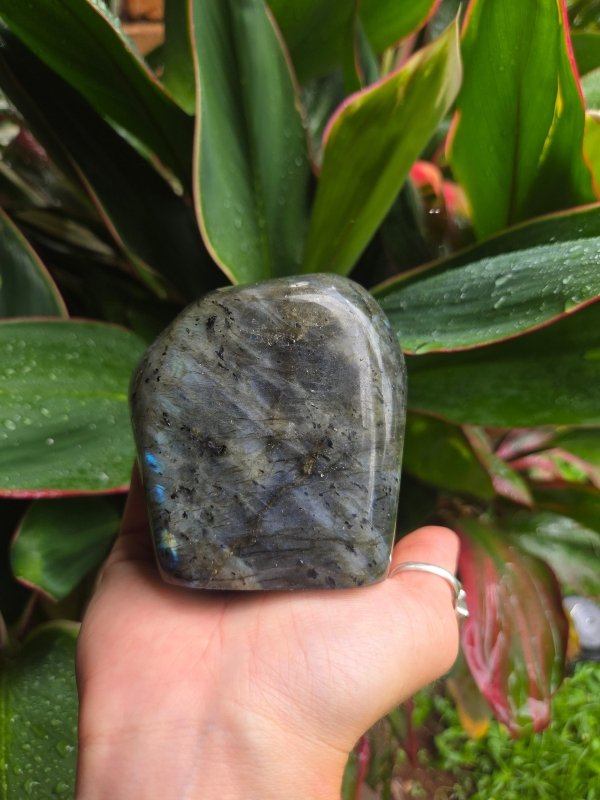 Labradorite Crystal Freeform Polished Slab - Crystals Australia