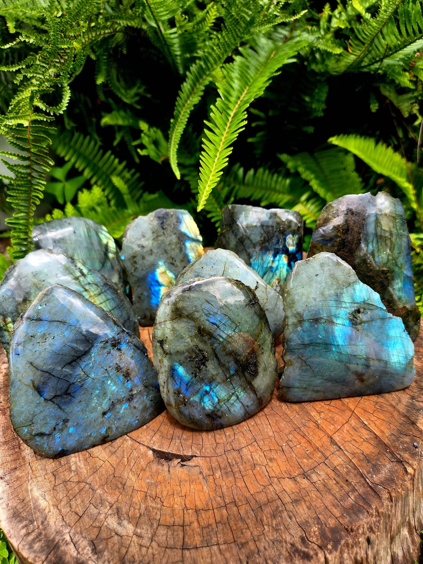 Crystals Labradorite Crystal Raw Freeform Slab - Polished One Side