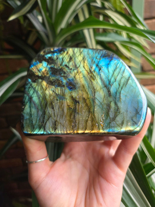 Crystals Labradorite Freeform Polished Slab 685g