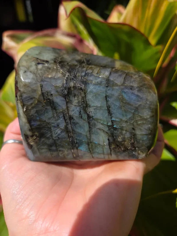 Labradorite Freeform Polished Slab High Quality Flash - Crystals Australia