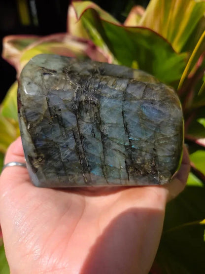 Labradorite Freeform Polished Slab High Quality Flash - Crystals Australia