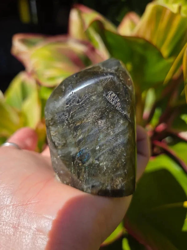 Labradorite Freeform Polished Slab High Quality Flash - Crystals Australia