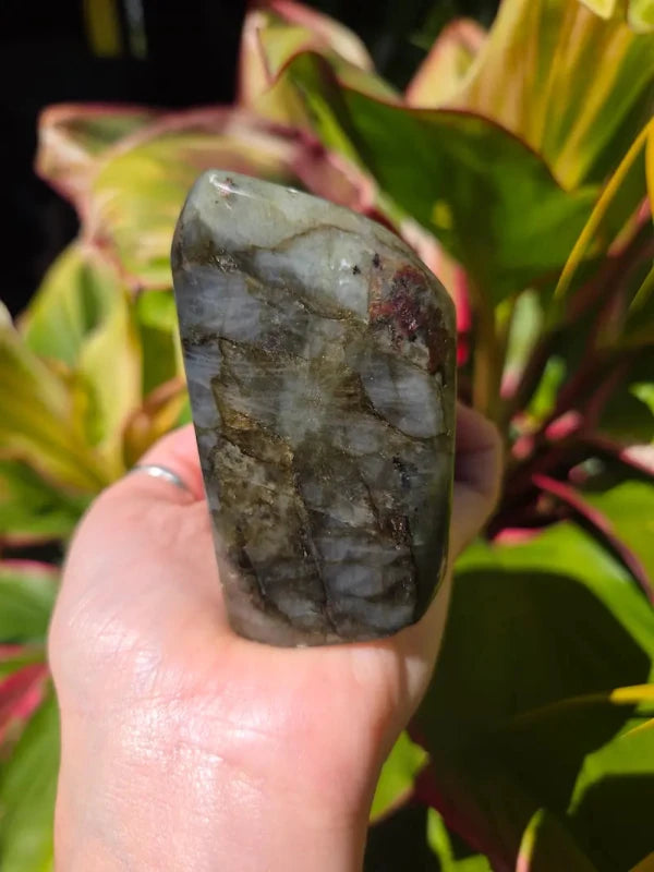 Labradorite Freeform Polished Slab High Quality Flash - Crystals Australia