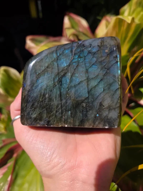 Labradorite Freeform Polished Slab High Quality Flash - Crystals Australia