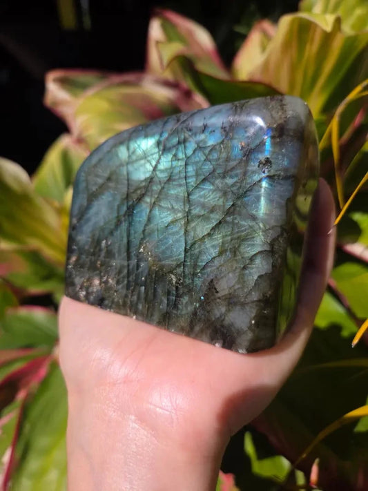 Labradorite Freeform Polished Slab High Quality Flash - Crystals Australia