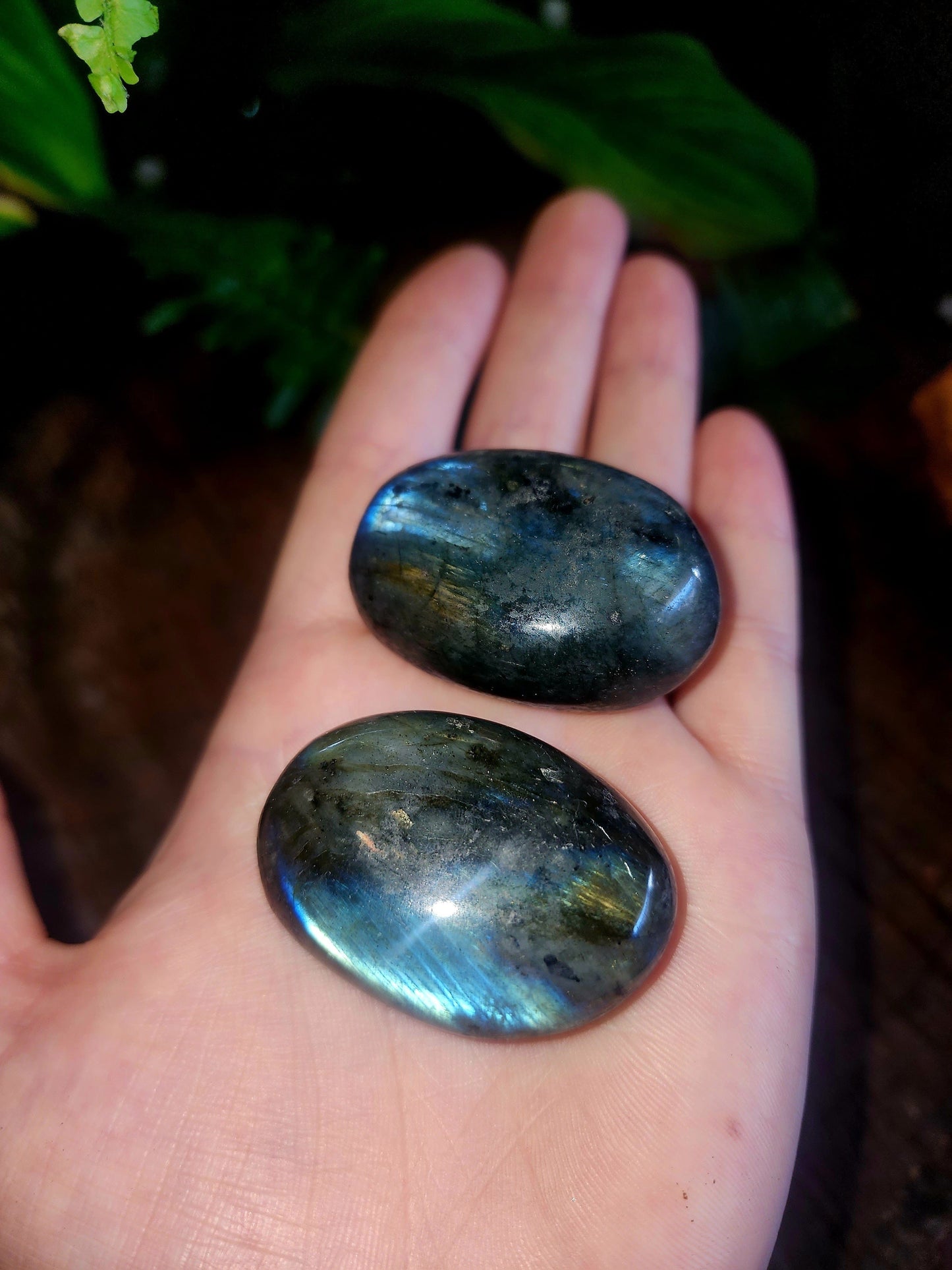 Labradorite Palm Stone Australia