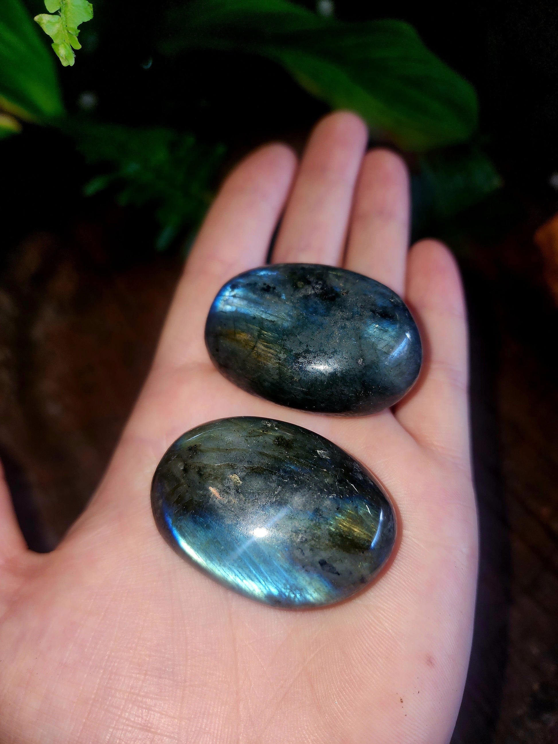 Labradorite Palm Stone Australia