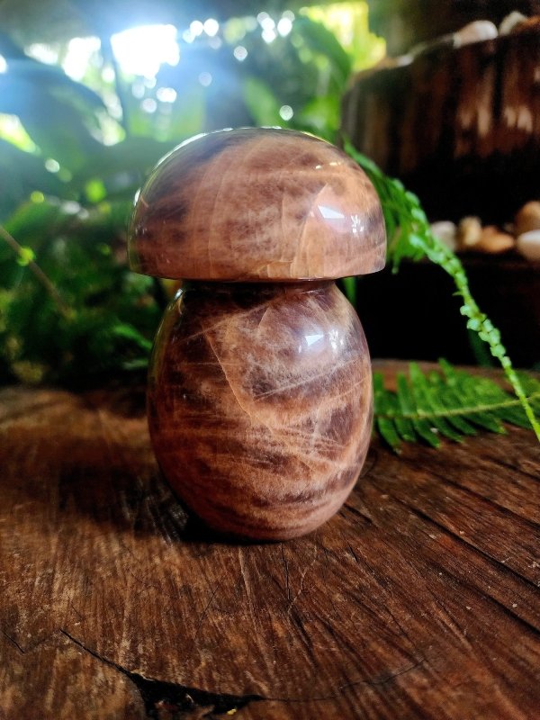 Large Black Moonstone Mushroom Carving - Carving Australia