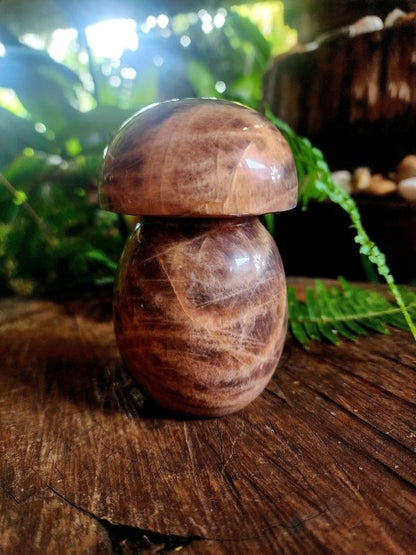 Large Black Moonstone Mushroom Carving - Carving Australia