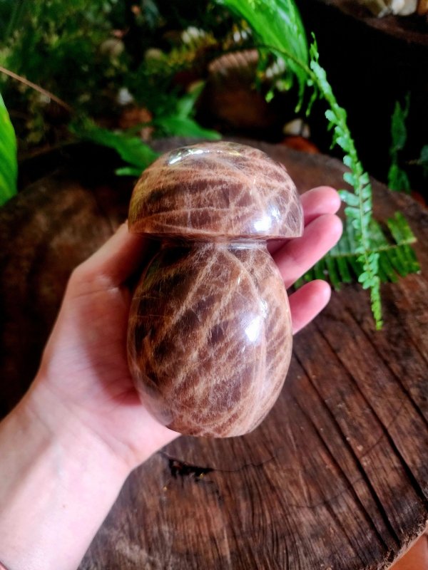 Large Black Moonstone Mushroom Carving - Carving Australia